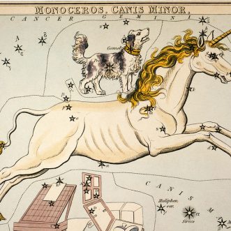 Unicorns