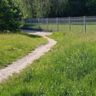 Desire lines