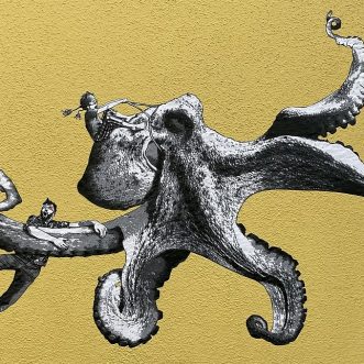 Octopuses