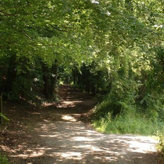 New paths