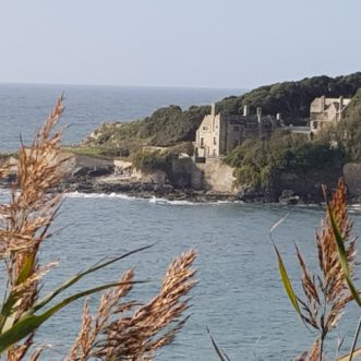 The sound of the sea