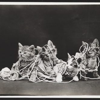 Entanglement