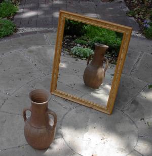 Form follows function