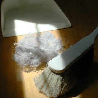 Dust Corners